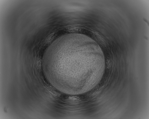 X0000091650753200709131450