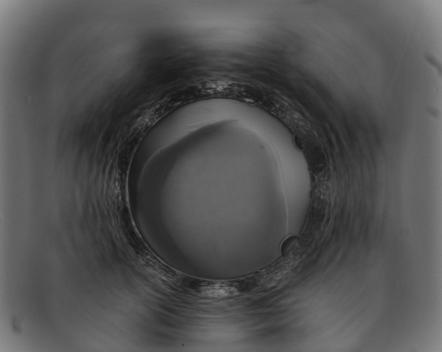 X0000091650754200709131450