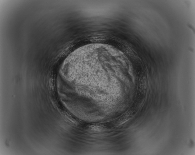 X0000091650755200709131450