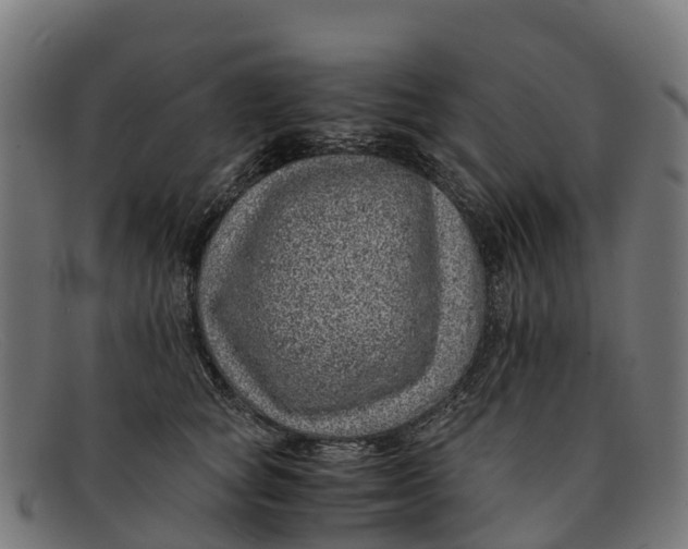 X0000091650757200709131450