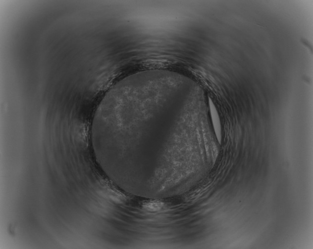 X0000091650759200709131450