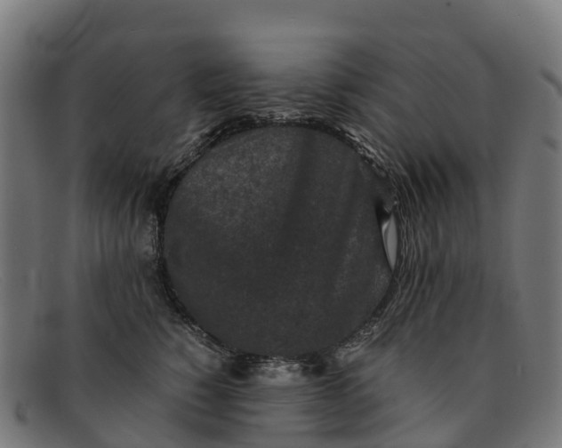 X0000091650760200709131450