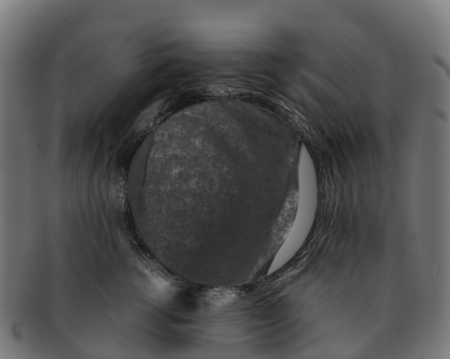 X0000091650762200709131450