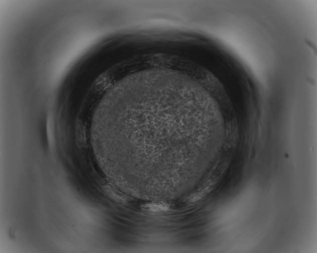 X0000091650765200709131450