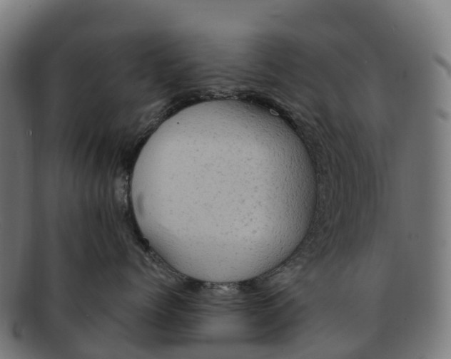 X0000091650768200709131450