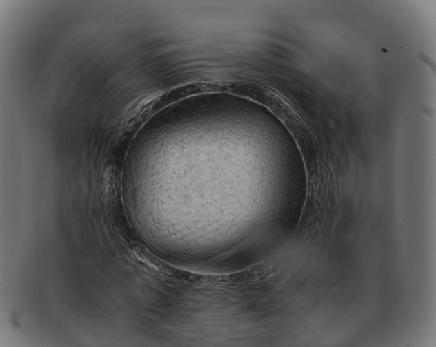 X0000091650773200709131449