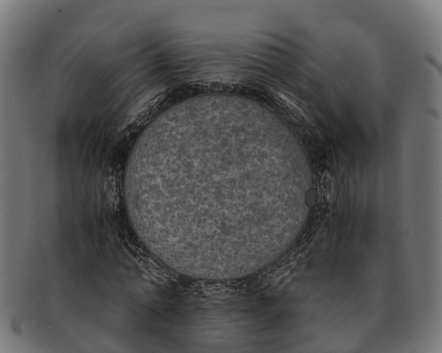 X0000091650774200709131449