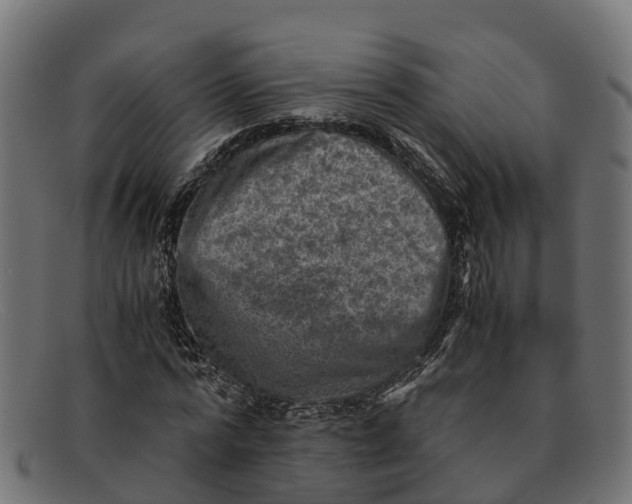 X0000091650776200709131449