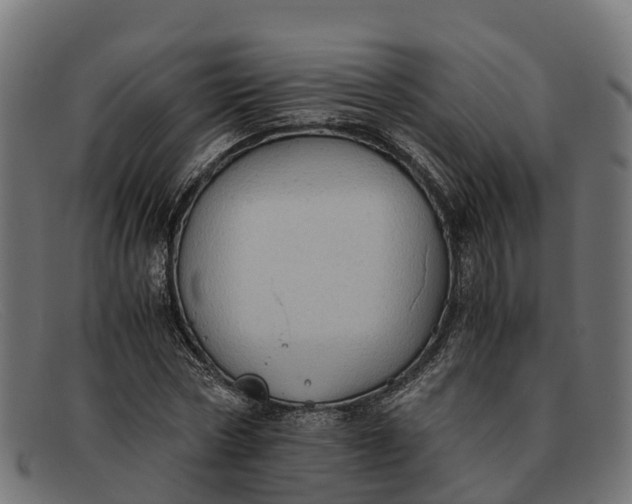 X0000091650778200709131449