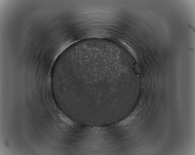 X0000091650779200709131449