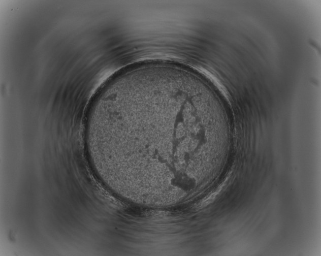 X0000091650783200709131449