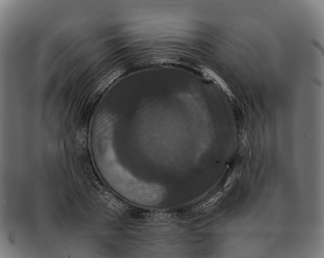 X0000091650785200709131449