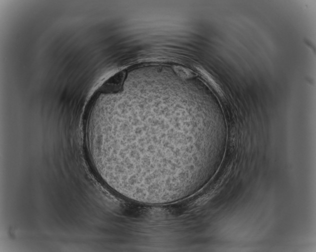 X0000091650787200709131449