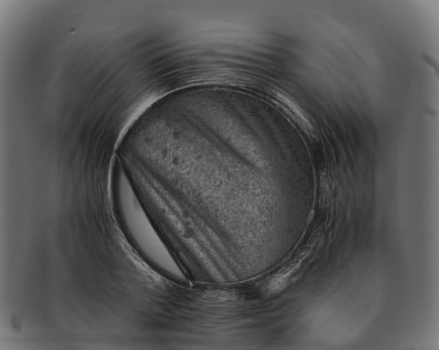 X0000091650788200709131449