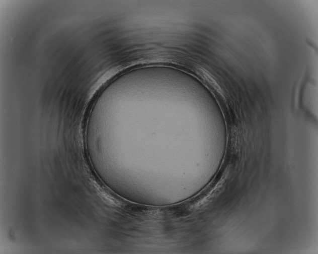 X0000091650789200709131449