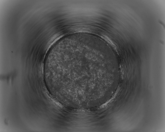 X0000091650790200709131449