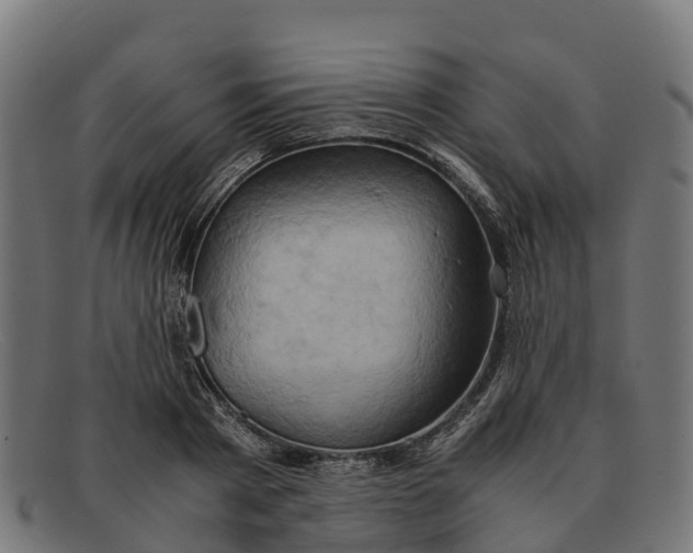 X0000091650793200709131449