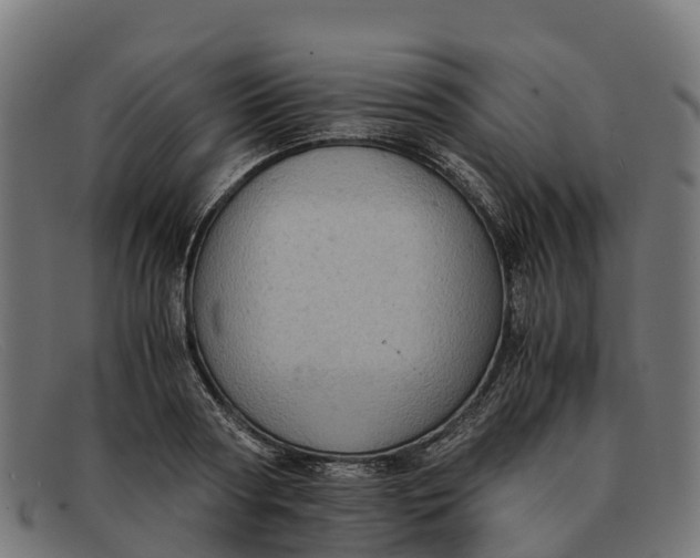 X0000091650794200709131449