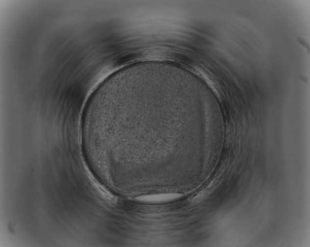 X0000091650795200709131449