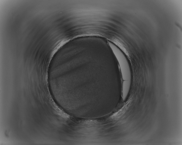 X0000091650797200709131449