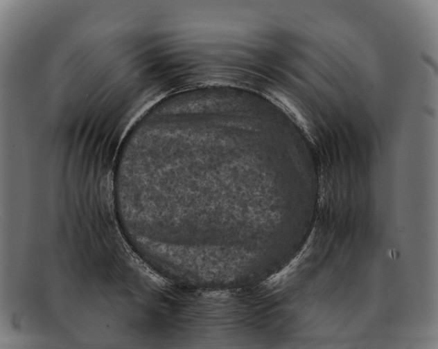 X0000091650798200709131449