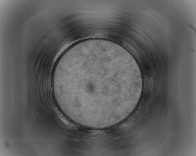 X0000091650800200709131449