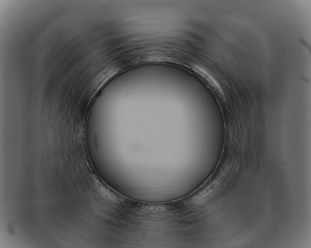 X0000091650801200709131449