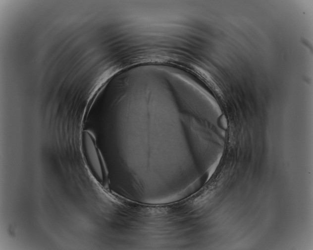 X0000091650802200709131449