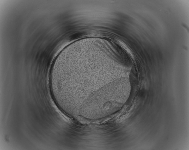 X0000091650803200709131449