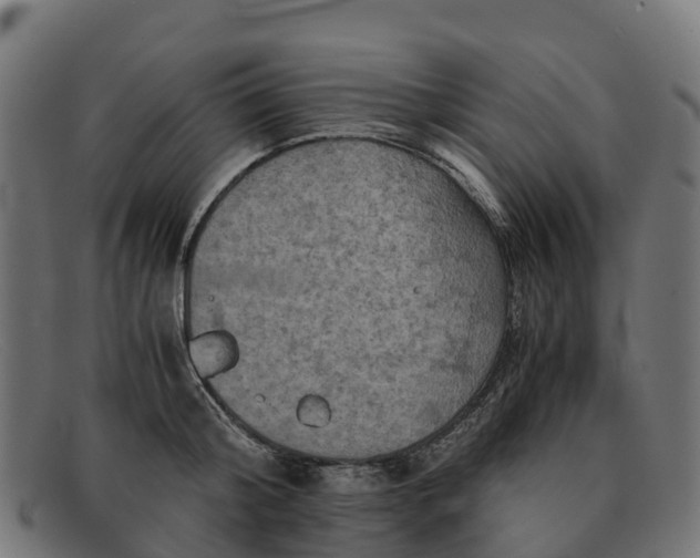 X0000091650804200709131449