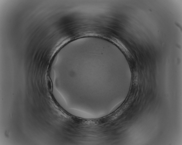 X0000091650806200709131449