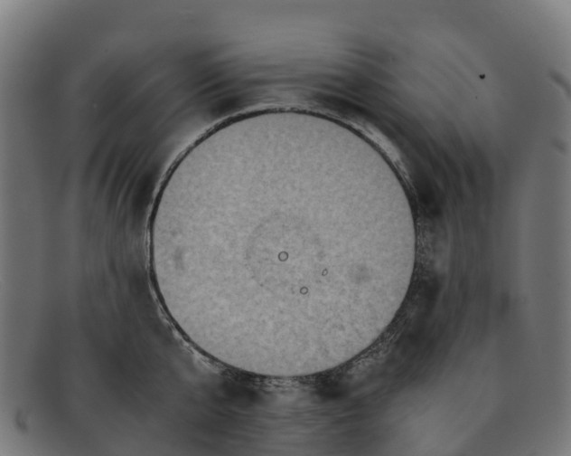 X0000091650807200709131449