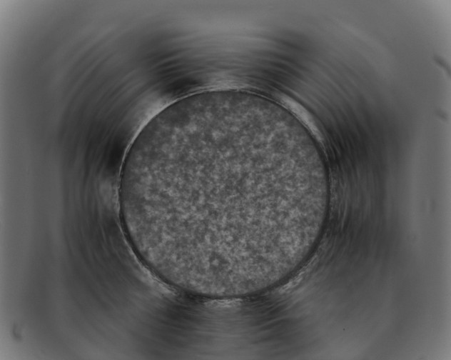 X0000091650810200709131449