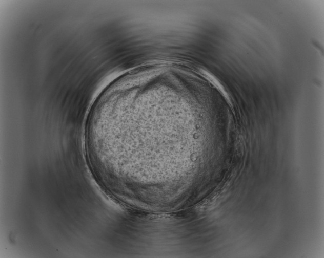 X0000091650811200709131449