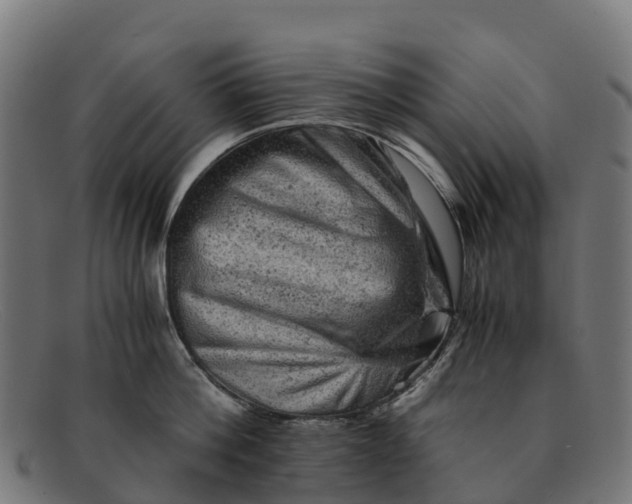 X0000091650812200709131449