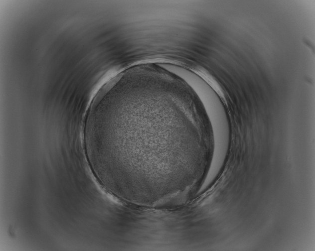 X0000091650813200709131449