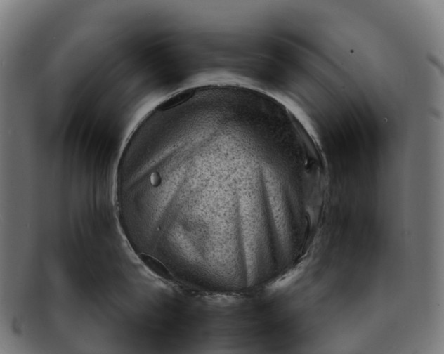 X0000091650815200709131449