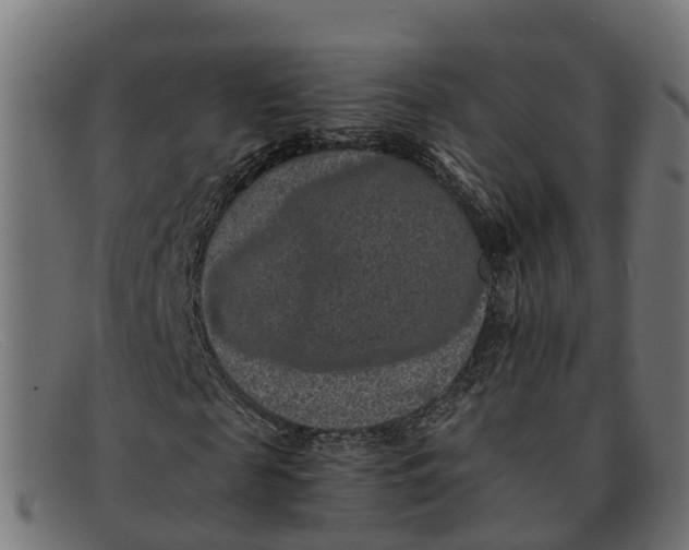 X0000091650817200709131448