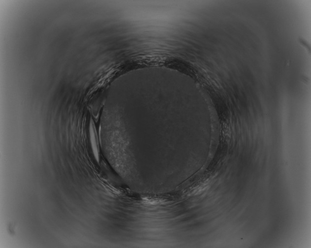 X0000091650818200709131448