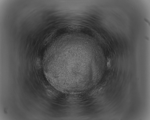 X0000091650819200709131448