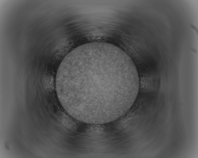 X0000091650820200709131448