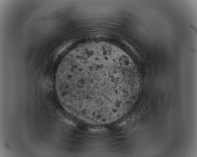 X0000091650823200709131448