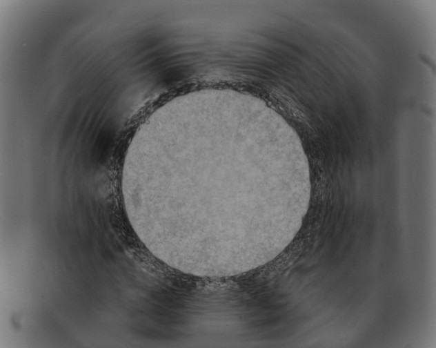 X0000091650824200709131448