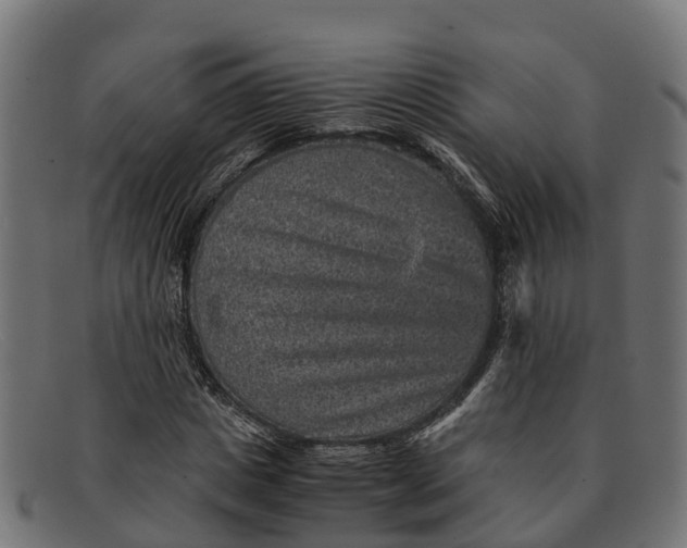 X0000091650825200709131448