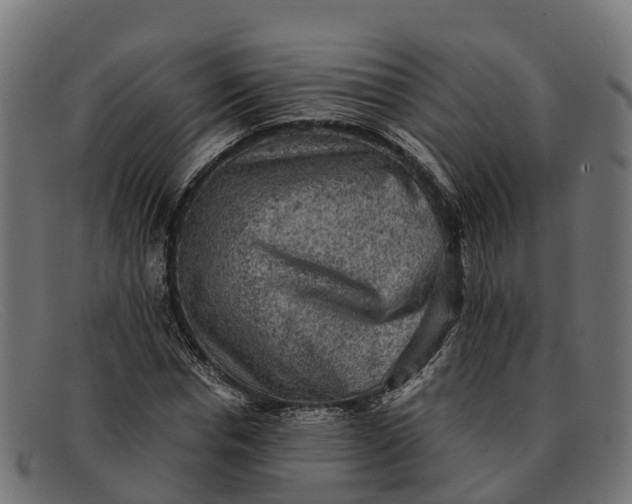 X0000091650826200709131448