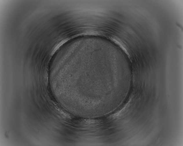 X0000091650829200709131448