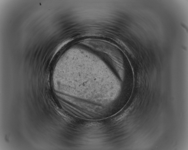 X0000091650830200709131448