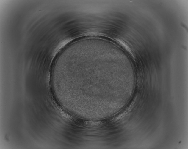 X0000091650831200709131448