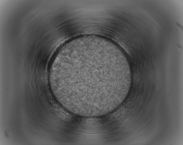 X0000091650832200709131448