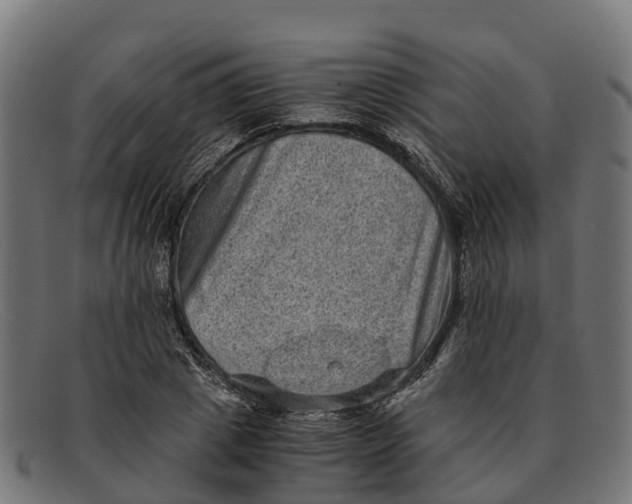 X0000091650833200709131448